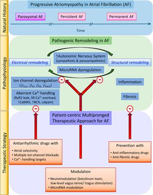 Revisiting Antiarrhythmic Drug Therapy for Atrial Fibrillation: Reviewing Lessons Learned and Redefining Therapeutic Paradigms